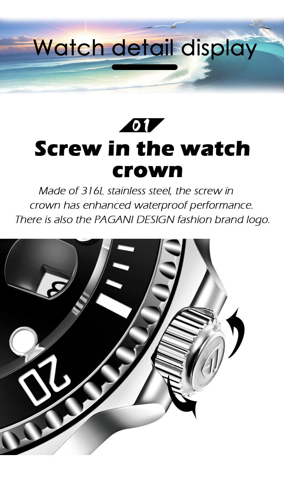 PAGANI DESIGN Diving Watch Mechanical Automatic Watch 316L Stainless Steel UltraBright Luminous Watch Top Luxury Watches for Man