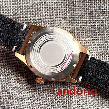 Tandorio NH35A PT5000 Solid Full Cusn8 Bronze 200m Waterproof 39mm Automatic Men Watch Sapphire Crystal Date C3 Luminous Marks