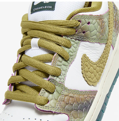 Nike Original SB Dunk Low Pro Unisex Leichte Skate-Schuhe HJ3386-300