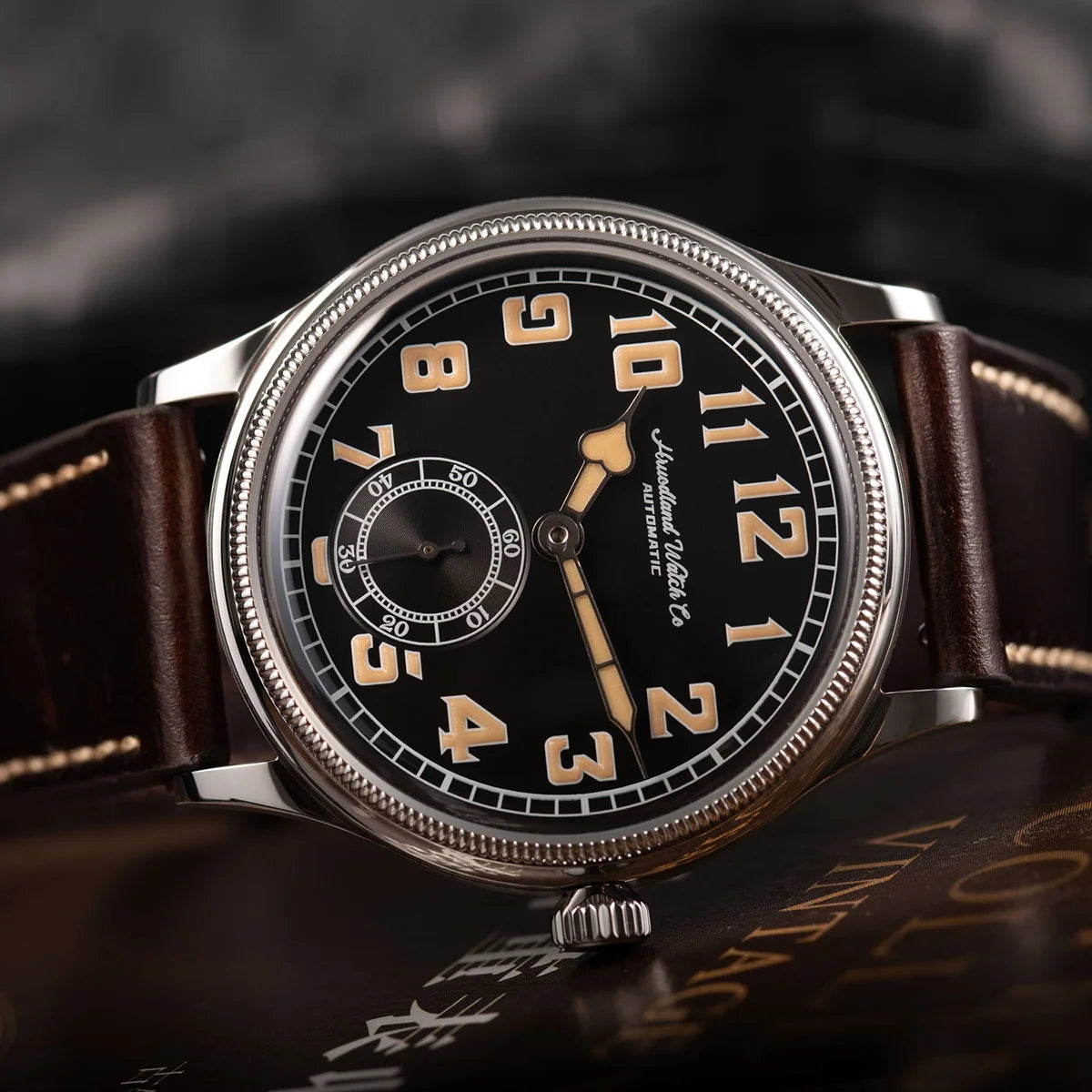 Hruodland 2024 New Retro Classic Men Watches Automatic Mechanical Stainless Steel Brown Leather Diving Wristwatch for Male