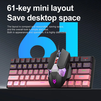APAYADO K61 Mini Mechanische Tastatur, kabelgebunden, 61 Tasten, Phantom RGB, mechanischer Schalter in Schwarz/Weiß/Rot/Blau für Gaming, 60 % tragbar
