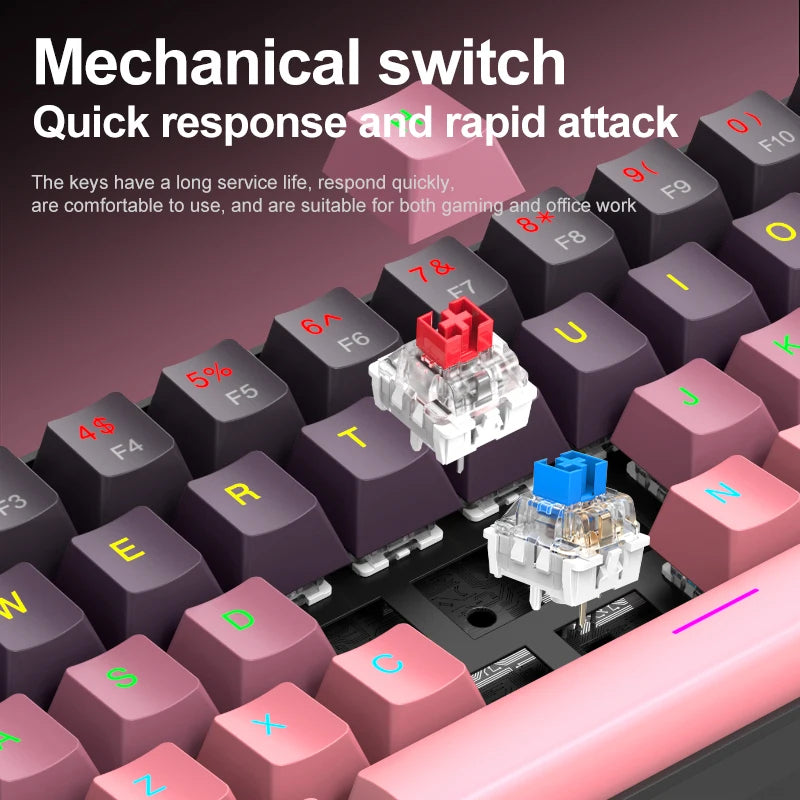 APAYADO K61 Mini Mechanische Tastatur, kabelgebunden, 61 Tasten, Phantom RGB, mechanischer Schalter in Schwarz/Weiß/Rot/Blau für Gaming, 60 % tragbar