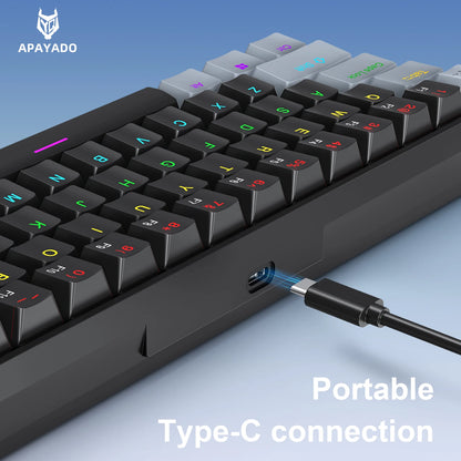 APAYADO K61 Mini-Mechanische Tastatur, kabelgebunden, 61 Tasten, Phantom RGB, schwarz/weiß, mechanische rote/blaue Switches für Gaming, 60% tragbar