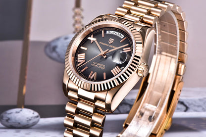 2026 New PAGANI DESIGN Enamel Dial DD36 Luxury Silver Gold Automatic Watch For Men AR Sapphire crystal Mechanical Wristwatch Men