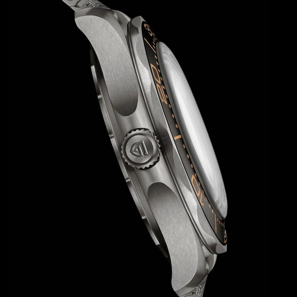 PAGANI DESIGN Ceasuri pentru bărbați Ceas automat de lux retro 007, nou, pentru bărbați Ceas de mână mecanic pentru bărbați Oțel inoxidabil Rezistent la apă