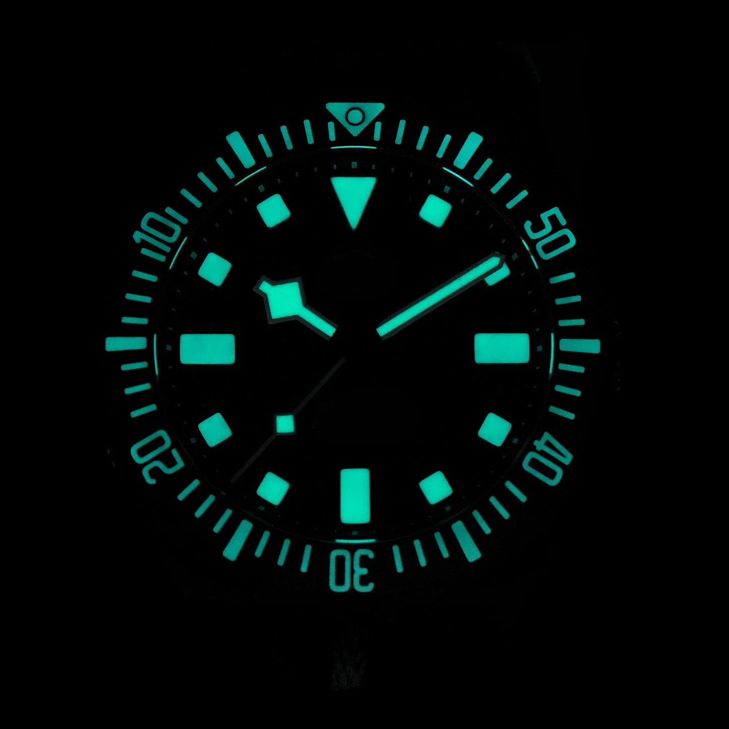 Watchdives EXD 40Mm Titanium Dive Watch Men's VH31 Sweep Quartz Watches 200 Waterproof AR Sapphire BGW9 Luminous 316L Wristwatch
