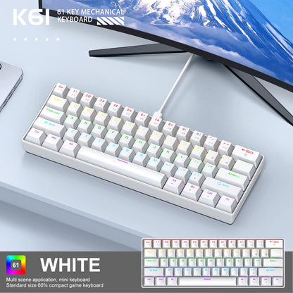 APAYADO K61 Mini-Mechanische Tastatur, kabelgebunden, 61 Tasten, Phantom RGB, schwarz/weiß, mechanische rote/blaue Switches für Gaming, 60% tragbar