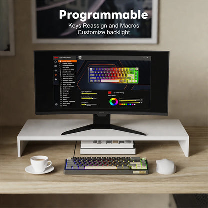 RK Royal Kludge R65 Gasket Wired Mechanical Keyboard 66 Key 65% RGB Backlit Hot-swappable Gamer Keyboard with MDA PBT Keycaps