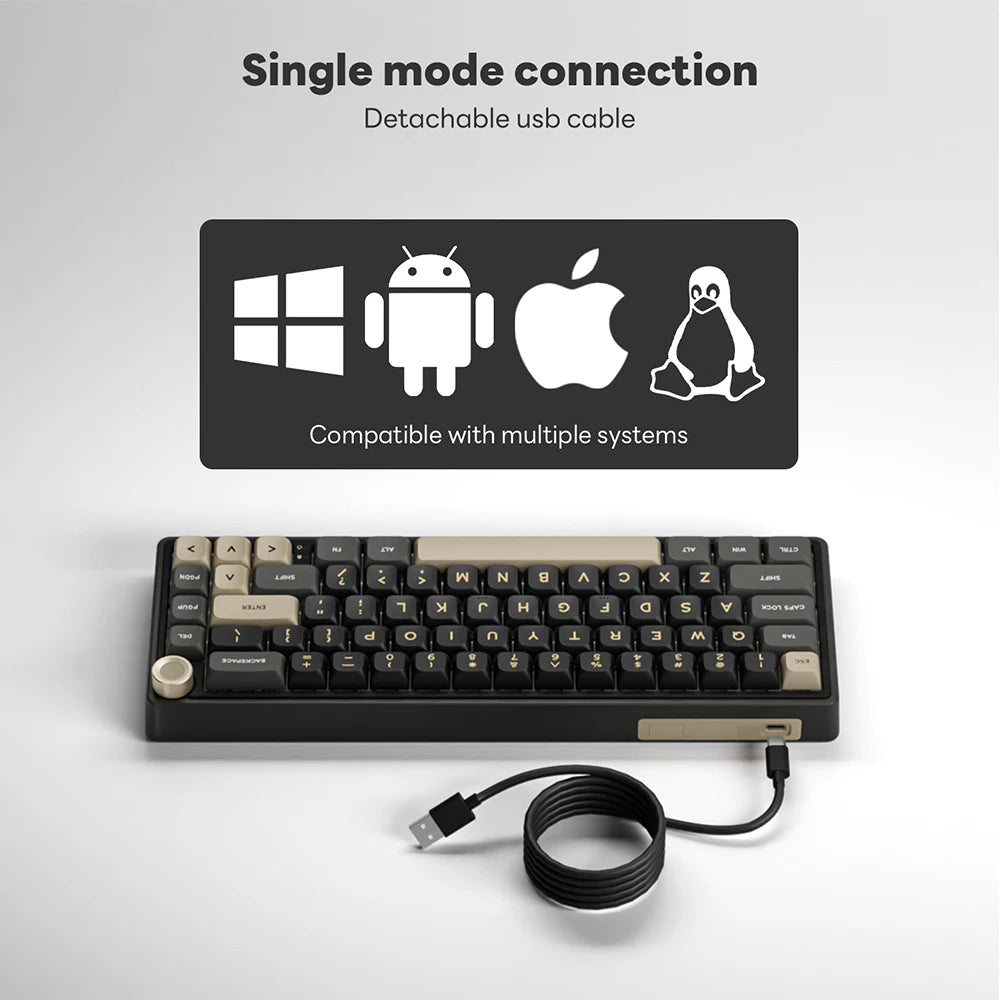 RK Royal Kludge R65 Gasket Wired Mechanical Keyboard 66 Key 65% RGB Backlit Hot-swappable Gamer Keyboard with MDA PBT Keycaps