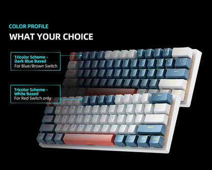 K500-B61 Machenike Mini teclado mecánico, formato 60%, 61 teclas, teclado gaming con cable, teclas totalmente hot-swappable y retroiluminación RGB