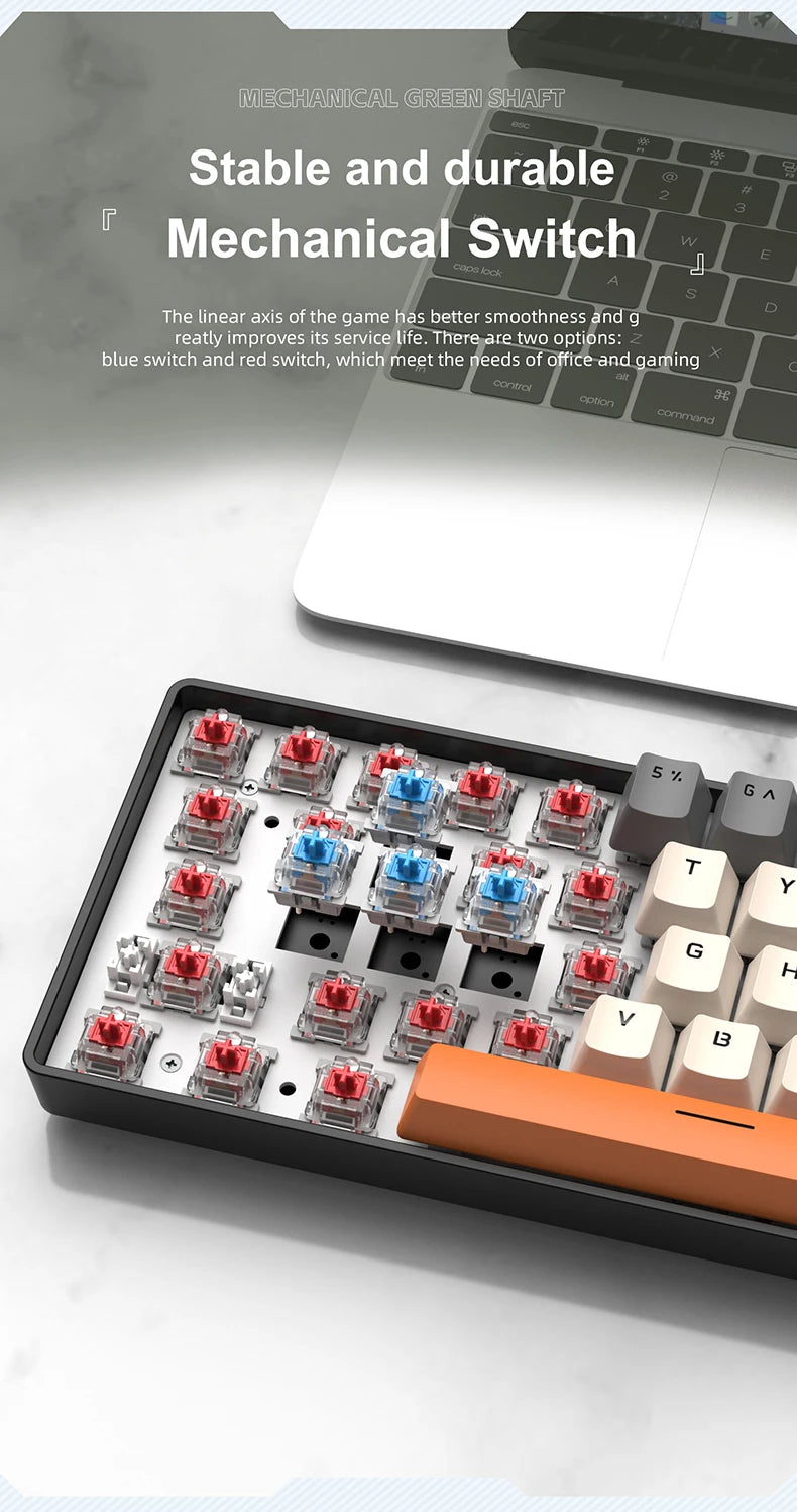 APAYADO K61 Mini-Mechanische Tastatur, kabelgebunden, 61 Tasten, Phantom RGB, schwarz/weiß, mechanische rote/blaue Switches für Gaming, 60% tragbar