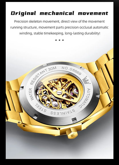 OLEVS 6669 Fully hollow men's watch luxury automatic mechanical watch men's 30M waterproof Man Wristwatches