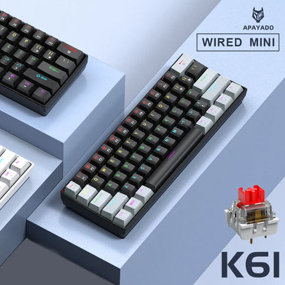 APAYADO K61 Mini-Mechanische Tastatur, kabelgebunden, 61 Tasten, Phantom RGB, schwarz/weiß, mechanische rote/blaue Switches für Gaming, 60% tragbar