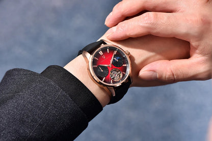 PAGANI DESIGN 41mm Men’s Luxury Mechanical Watch  Sapphire Crystal, Leather Strap & Waterproof