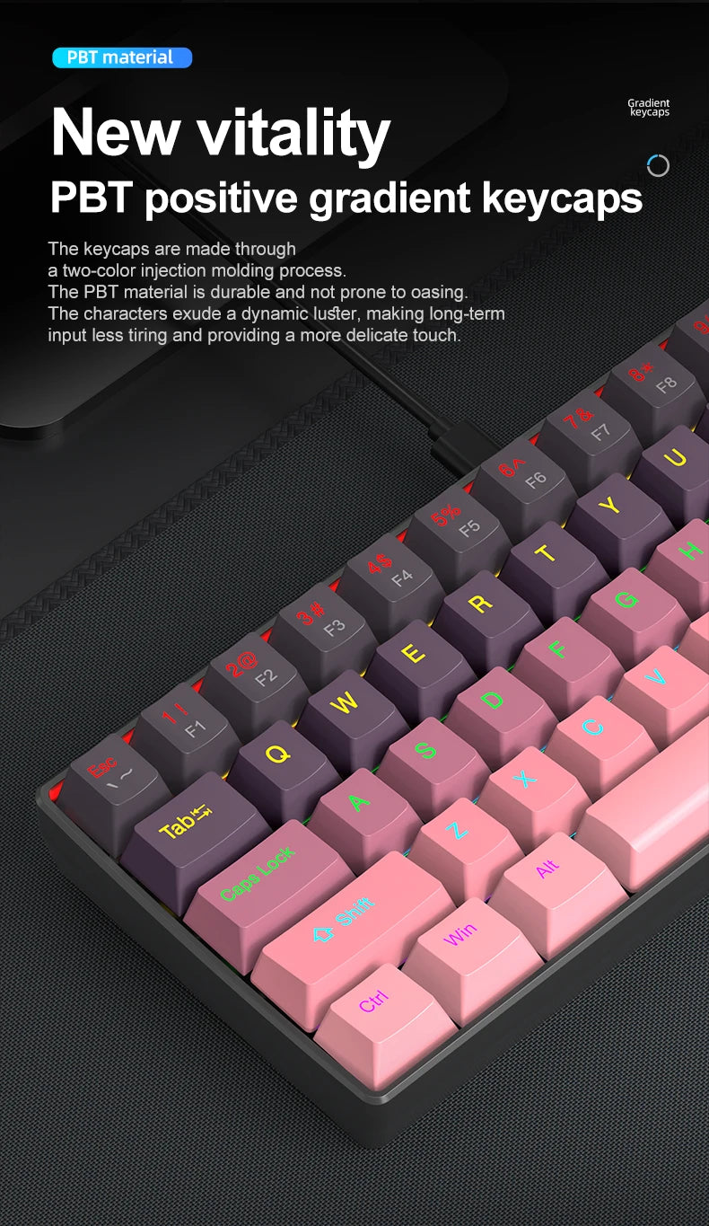 APAYADO K61 Mini Mechanische Tastatur, kabelgebunden, 61 Tasten, Phantom RGB, mechanischer Schalter in Schwarz/Weiß/Rot/Blau für Gaming, 60 % tragbar