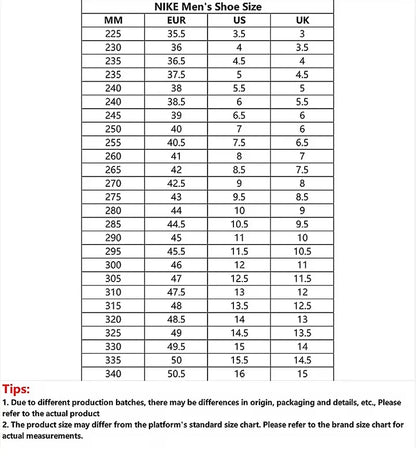 NIKE Women's Casual Comfortable Breathable Waterproof Wear-Resistant Kids' Sports Shoes CD7782-107