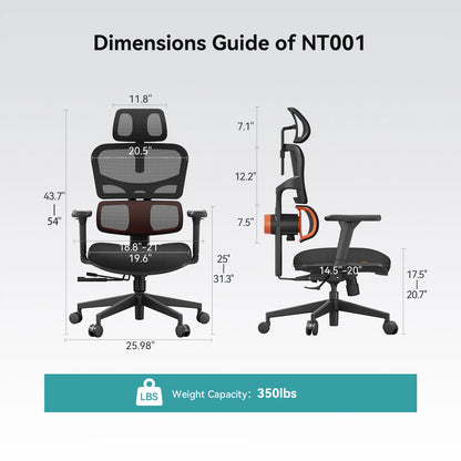 NEWTRAL NT001 Ergonomic Office Chair with Auto-Following Lumbar Support, 3 Recline Angle, Adjustable Backrest Armrest Headrest