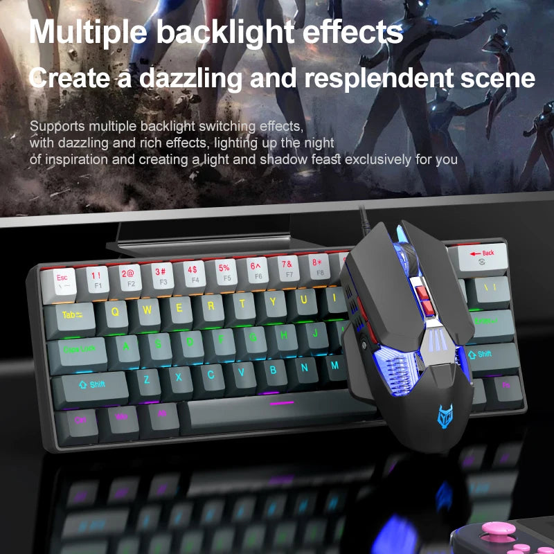 APAYADO K61 Mini Mechanische Tastatur, kabelgebunden, 61 Tasten, Phantom RGB, mechanischer Schalter in Schwarz/Weiß/Rot/Blau für Gaming, 60 % tragbar