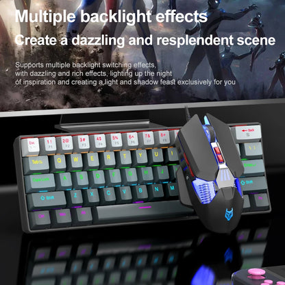 APAYADO K61 Mini Mechanische Tastatur, kabelgebunden, 61 Tasten, Phantom RGB, mechanischer Schalter in Schwarz/Weiß/Rot/Blau für Gaming, 60 % tragbar