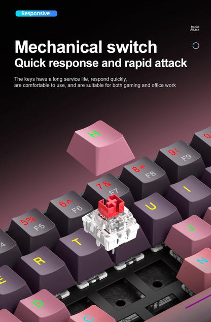 APAYADO K61 Mini Mechanische Tastatur, kabelgebunden, 61 Tasten, Phantom RGB, mechanischer Schalter in Schwarz/Weiß/Rot/Blau für Gaming, 60 % tragbar